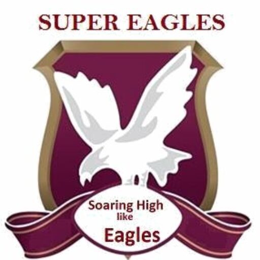 Super Eagles Academy